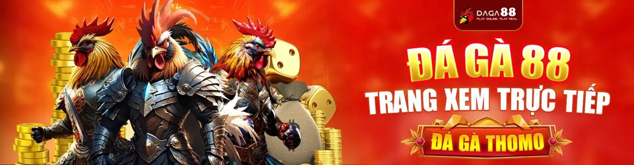 Chương Trình VIP Độc Quyền zalv 88
