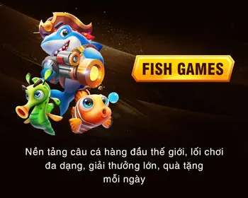 Đa dạng các môn thể thao như bóng đá, bóng rổ, tennis